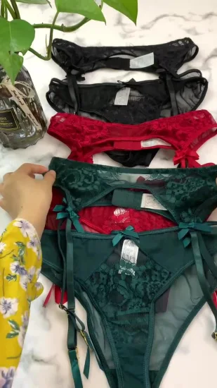 Roupa íntima feminina charmosa com bordado floral transparente de alta qualidade e renda