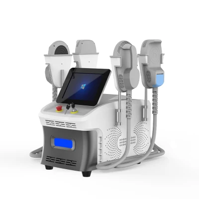 CE/FDA/RoHS Portátil Escultura Corporal Fisioterapia EMS